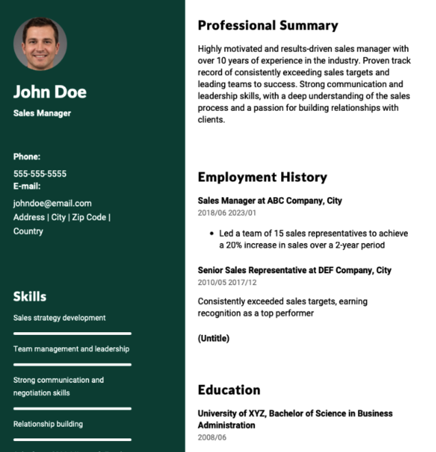 Sales Manager Resume Example
