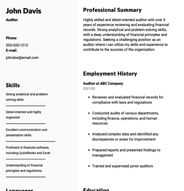 Auditor Resume Example