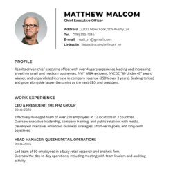 Chief Risk Officer Resume Example