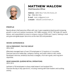 Dental Resume Example