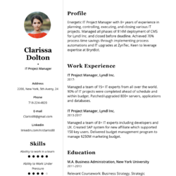Business Operations Specialist Resume Example