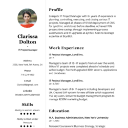 Social Media Strategist Resume Example