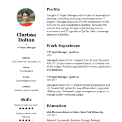 Parking Manager Resume Example