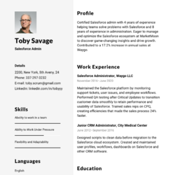 Contract Manager Resume Example