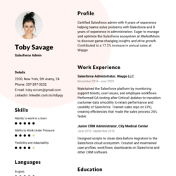 General Manager Resume Example