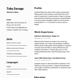 Service Assistant Resume Example