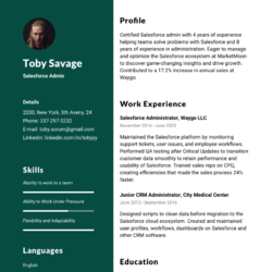 Senior Sales Manager Resume Example