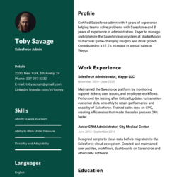 Reservation Specialist Resume Example