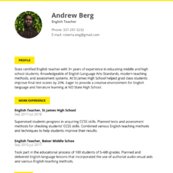 Senior Manager Resume Example