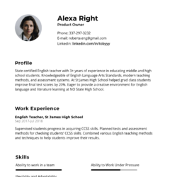 Business Leader Resume Example