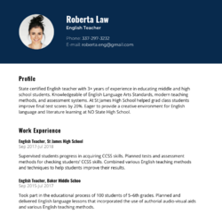 Finance Manager Resume Example