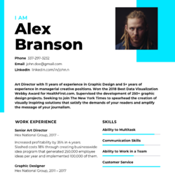 Artistic Director Resume Example