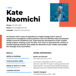 Chief Development Officer Resume Example