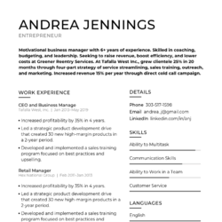 National Sales Director Resume Example