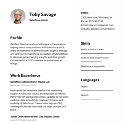 Business Associate Resume Example