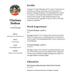 Technical Sales Manager Resume Example