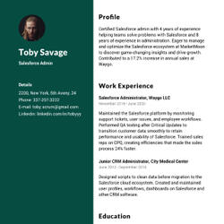 Maid Resume Example