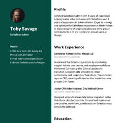 Organizer Resume Example