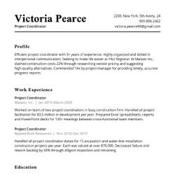 Founder Resume Example