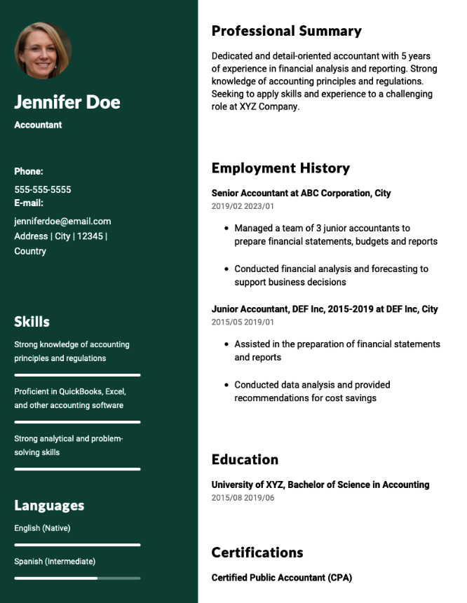 Accountant Resume Example