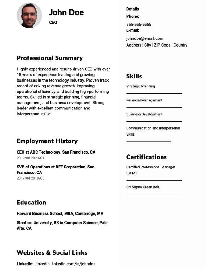 CEO Resume Example