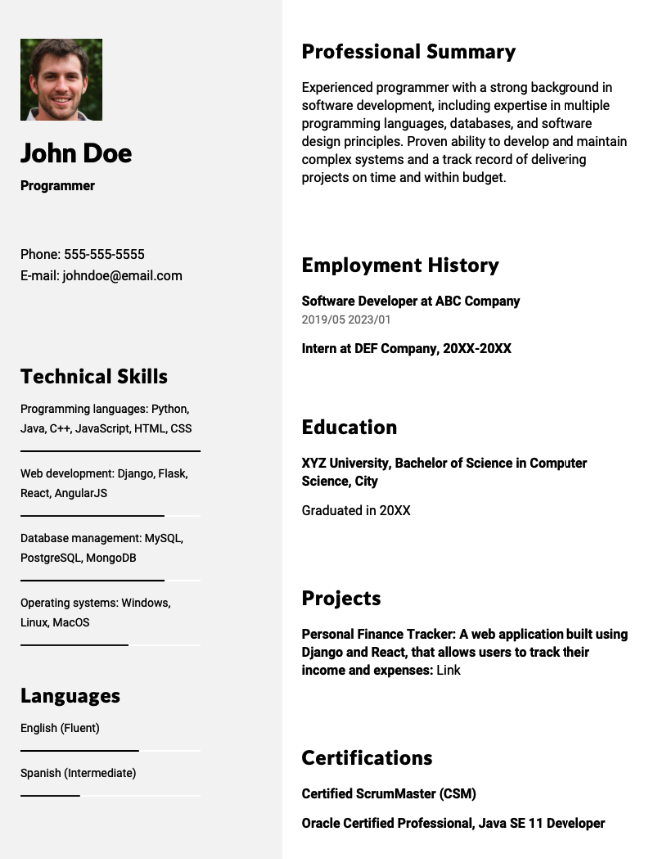 Programmer Resume Example
